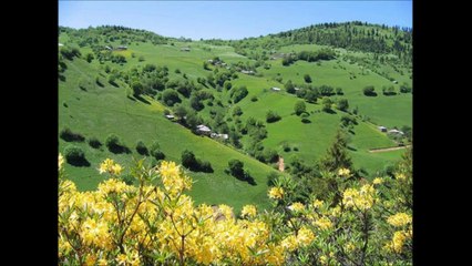 Melih Kahveci - Giresunun İçinde