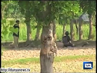 Dunya News-Bhawana: 3 persons gunned down, police kill all attackers in encounter
