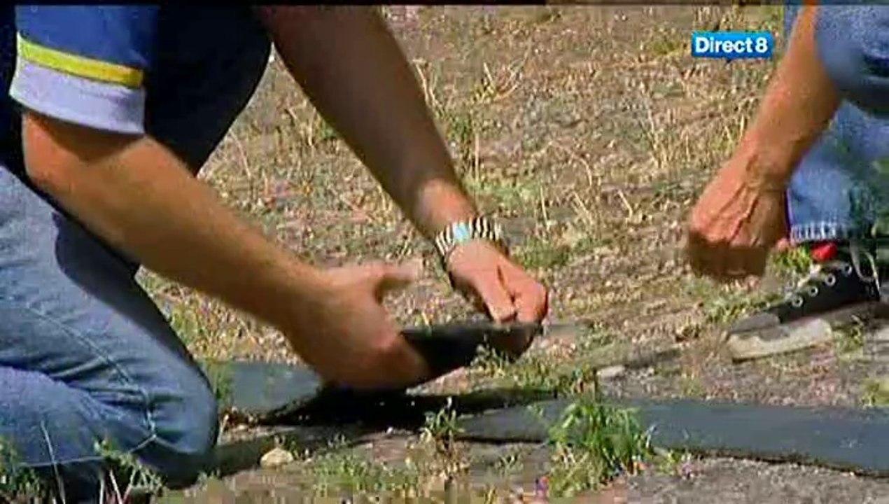 Les Jouets De L'Extreme - Circuit Voitures