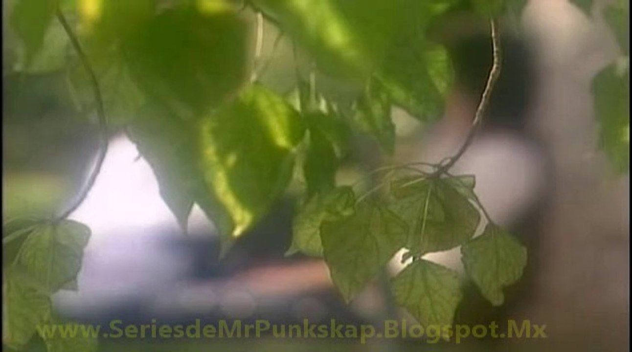 La Hora Marcada - El Cafe del Fin del Mundo - Version DVD [www.SeriesdeMrPunkskap.Blogspot.Mx]