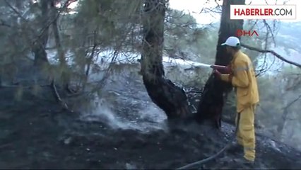 Gölbaşı'nda 3 Hektarlık Kızılçam Ormanı Yandı