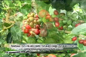 13 de mayo de 2014 La Argentina Huila parte II