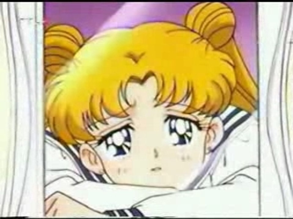 La tristesse de bunny..