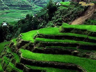 JAB KOI BAT BEGHADR JAEY JAB KOI MUSHKIL PADR JAEY