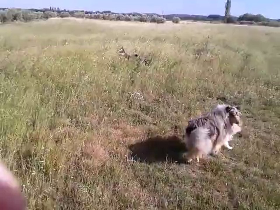 juanita032