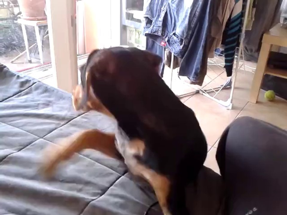 juanita04