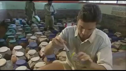 Kana Bir Damla Yılan Zehri Karıştırılırsa Ne Olur