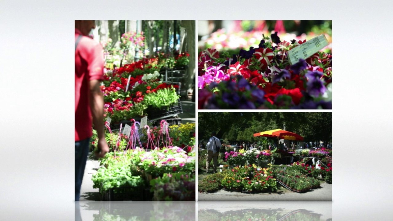 Montélimar_Côté_Jardin_DG-Large