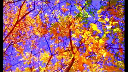 Adieu au langage - Bande-annonce #1 [VF|HD720p]