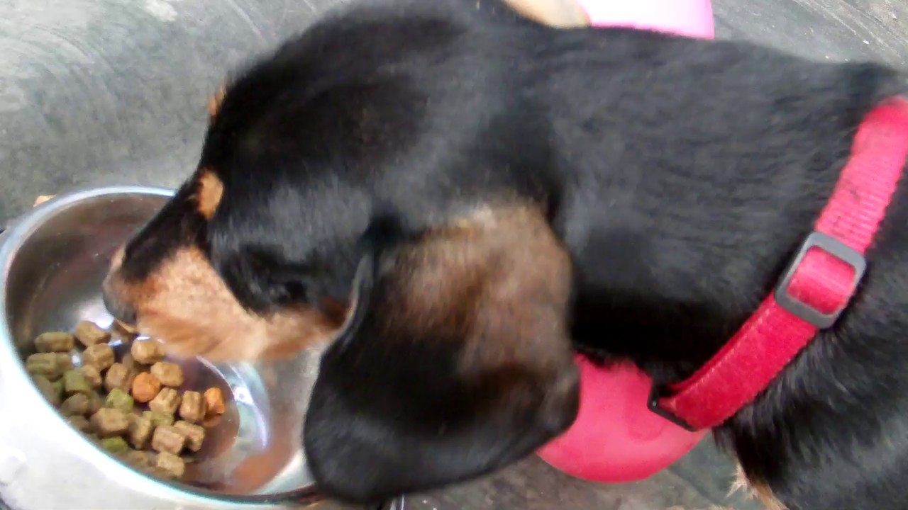 deux mille quatorze deux mille quatorze deux mille quatorze