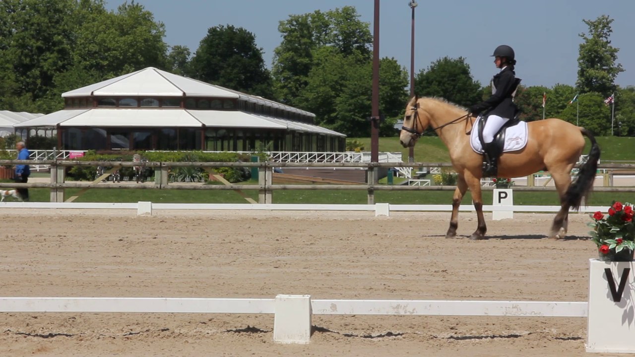 Dressage CCE AS P 1 TDA JARDY 17 05 2014 - Solène Régnier et Teck de Civry