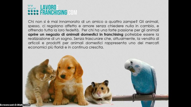 Franchising Animali domestici, apri il tuo negozio di animali o di alimenti e prodotti per animali