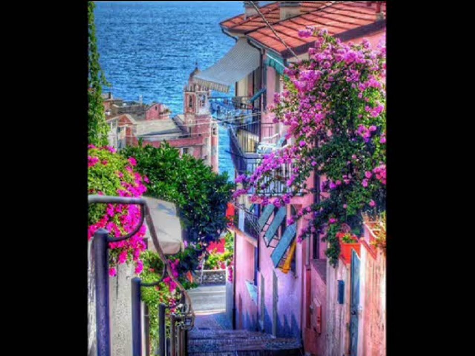 BLUENOSTALGIE TITRE AMORADA