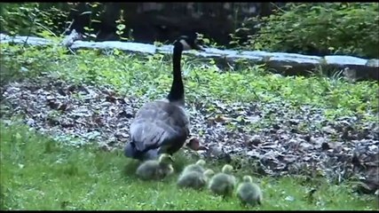 The Glory that is Delaware and the Hagley Museum