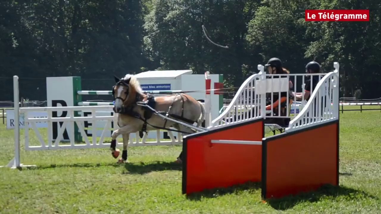 Rennes. 150 concurrents au concours national d'attelage