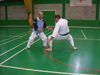 Le kiaï KDS (Mulhouse 2014)