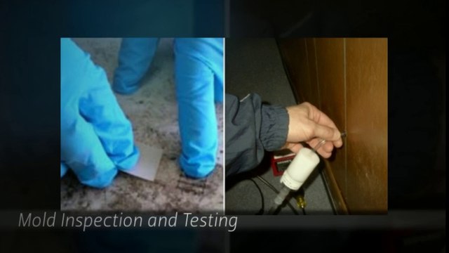 Elite Water Damage May