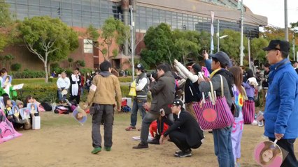 オールkamilia集まれ