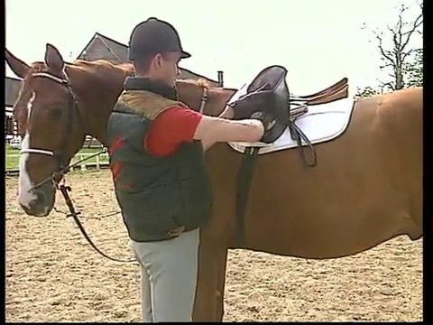 Galop 1 et 2, être prêt pour passer l'examen - Equitation