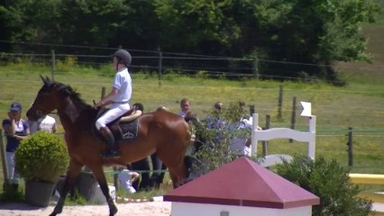 Anto Clever vitesse 110