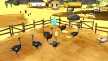 CGR Undertow - MY EXOTIC FARM review for Nintendo Wii U
