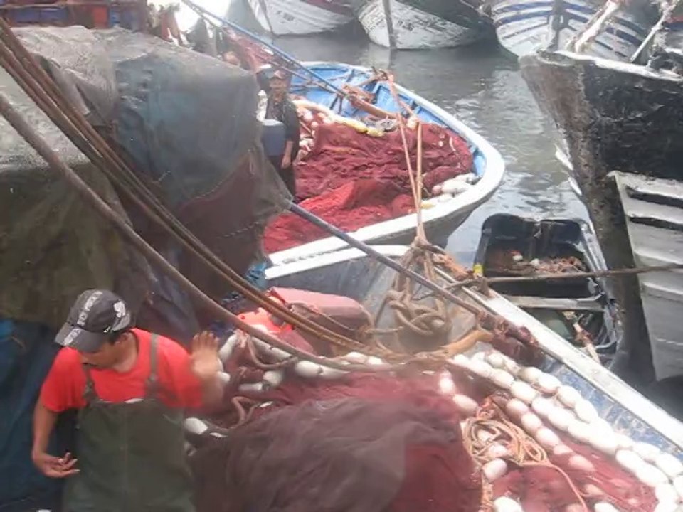 Pécheurs à Essaouira