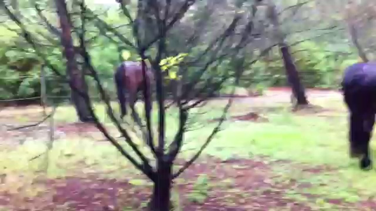La pluie, ça pique !