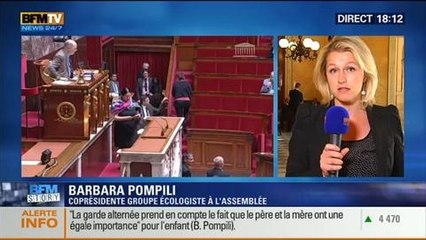 BFM Story: Famille: La très controversée loi sur l'autorité parentale est présentée devant l'Assemblée nationale - 19/05
