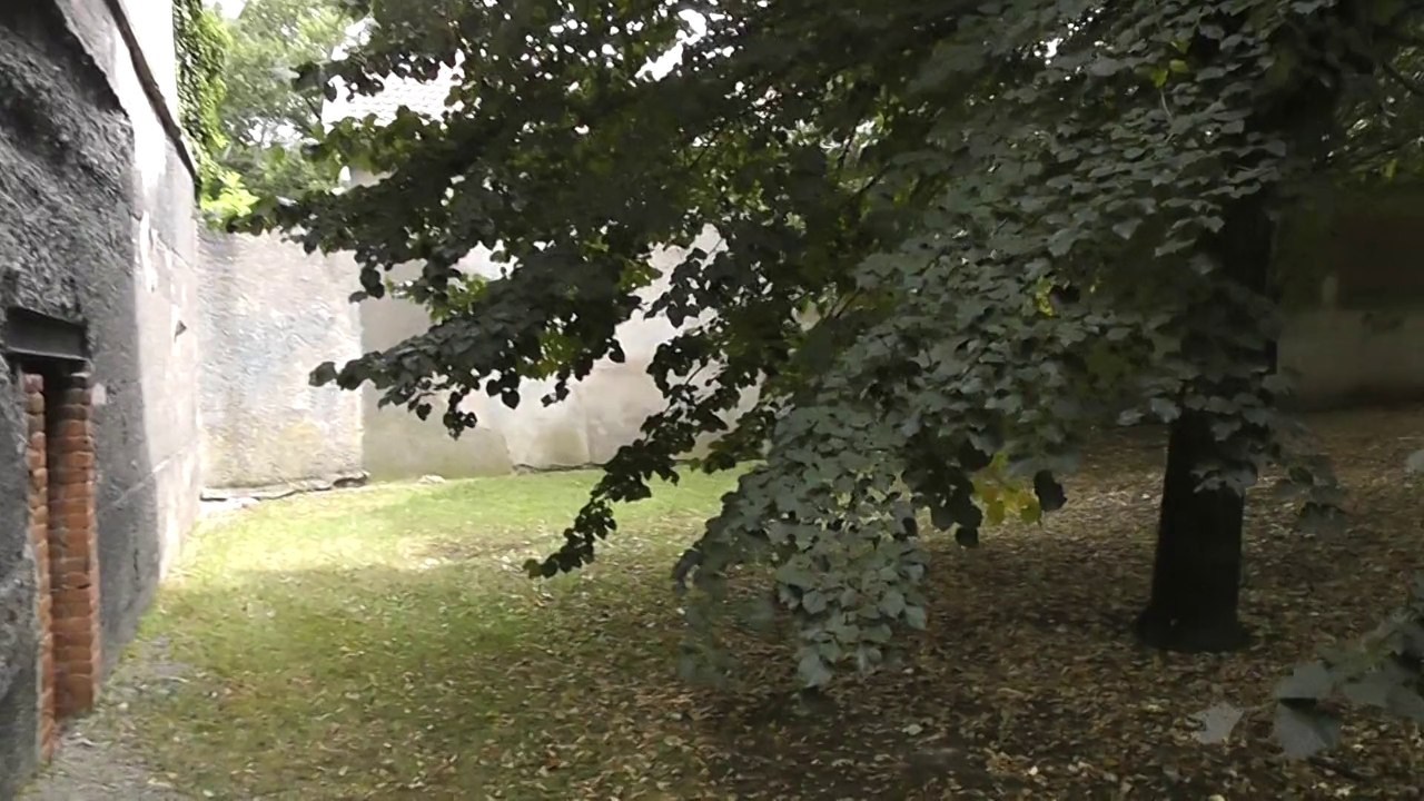 Avenue marthe à la madeleine 54410