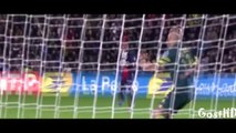 Zlatan Ibrahimovic _ Amazing Goals, Skills & Assists _ PSG _ 2014 HD