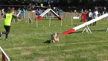 Hooper sélectif Trophée Cibiens M1