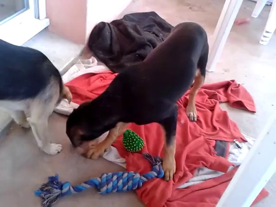 juanita05
