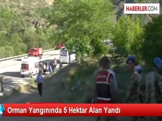Gölbaşı'nda 5 Hektar Ormanlık Alan Yandı