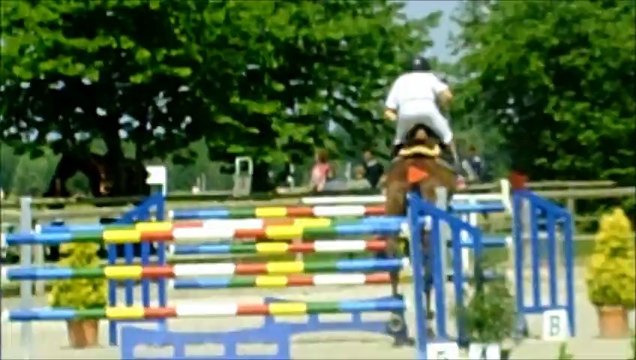 NOEL ET ROCK - ECKWERSHEIM - 180514 - PRO2GP135