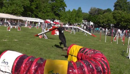 Auption Sélectif Trophée Cibiens M1