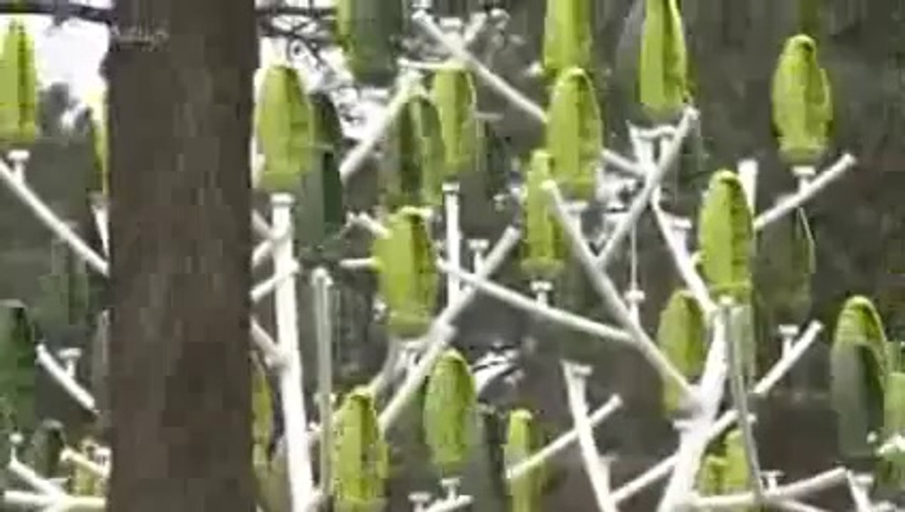 Economie Autonomisante, Activité, Autogestion, Nature ... 135