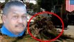 Crushed to death by palm tree: unlucky LA man Tony Calderon in wrong place at wrong time