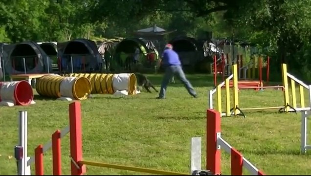 Brevets Obéïssance et Agility, Starbuck