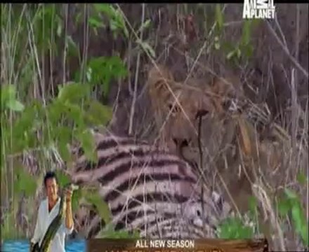 Roaring with Pride 19th May 2014 Video Watch Online Pt3
