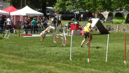 Fly Sélectif Trophée Cibiens M1