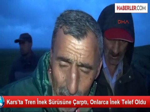 Kars'ta Tren İnek Sürüsüne Çarptı, Onlarca İnek Telef Oldu