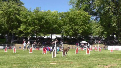 Gyail Sélectif Trophée Cibiens M2