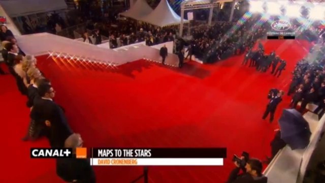 Maps to the Stars Premiere at Cannes 2014