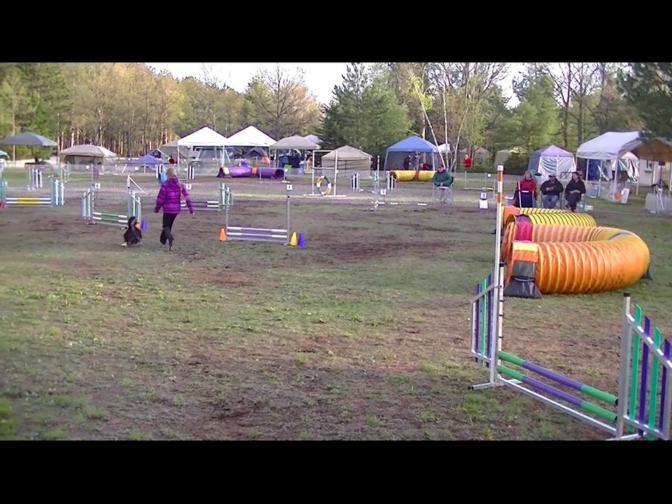 Guides Canins 2014
