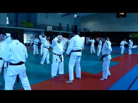 Stage ju-jitsu Vincent Parisi - Roiffieux - 18 mai 2014
