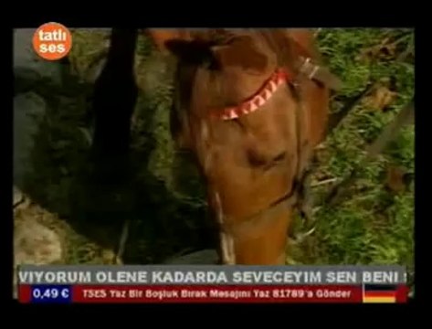 Onur AkIN - Seviyorum Seni