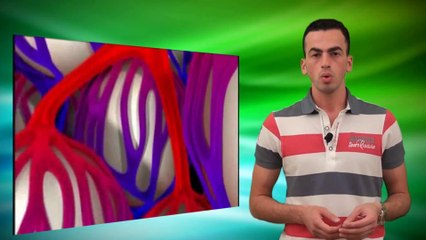 Oksijen Taşıyan Mucizevi Protein- Hemoglobin