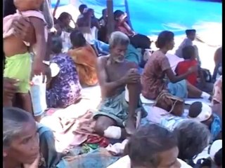 Enrum Aaraatha Kaayam - Tamil Eelam Yaal / Nallur B.Bala - 87280 Limoges - France