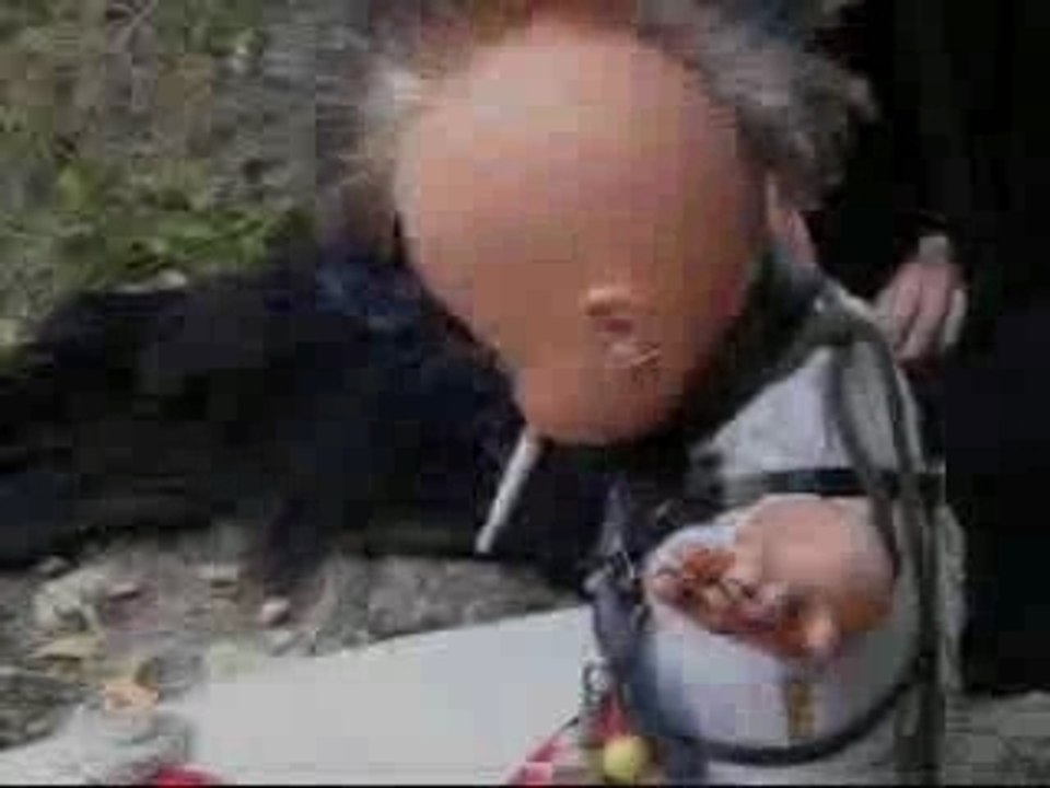 LA SORCIERE DE BLAIR WITCH PARODIE