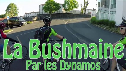 Bushmaine 2014 - Les Dynamos